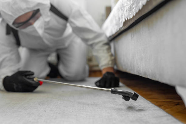 Professional Termite Control technician working in Macon, MS