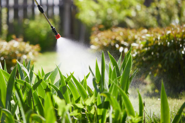 24/7 Emergency Termite Control experts in Macon, MS