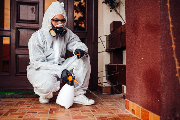Reliable Termite Control contractor in Macon, MS by Nex Pest Control